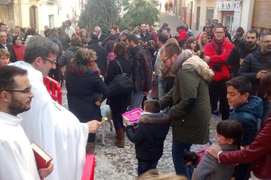 Bendición de los animales en las fiestas de Sant Antoni Ontinyent