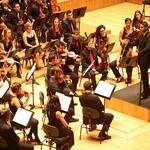 L’Orquestra Filharmònica de la UV actuarà a Ontinyent