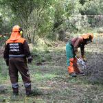 Las brigadas forestales de la Diputació retoman sus trabajos 