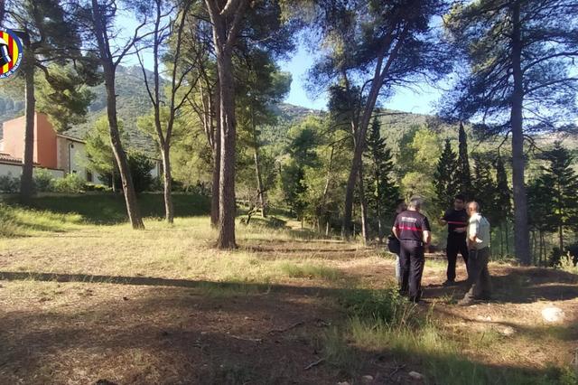 Les brigades forestals fan tasques silvícoles a Albaida