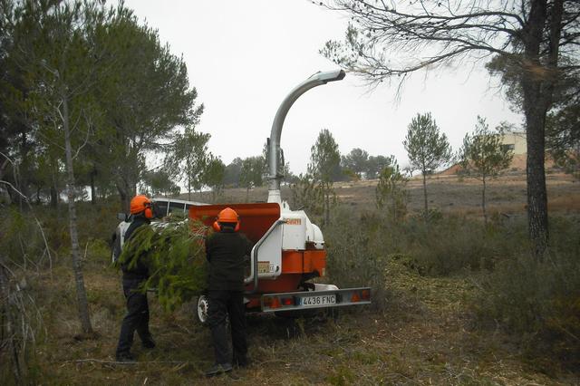 Ontinyent creará 5 puestos de trabajo forestal con una subvención de 55.000€  