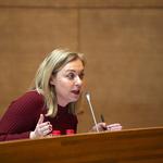 La Diputació  aprueba una moción en defensa del derecho civil valenciano
