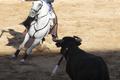 Corrida de toros, con Pablo Donat, Ruiz Muñoz y Víctor Hernández. Bocairent