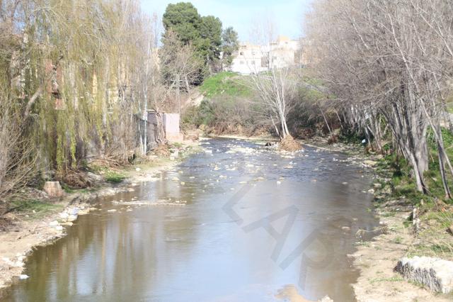 Ontinyent insta a la CHJ a que limpie el cauce del río