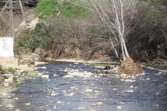 Destinarán 150.000€ para la limpieza del río Clariano en Ontinyent