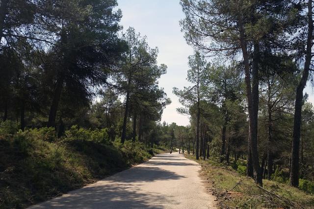 Bocairent executa franges de seguretat per a la prevenció d’incendis