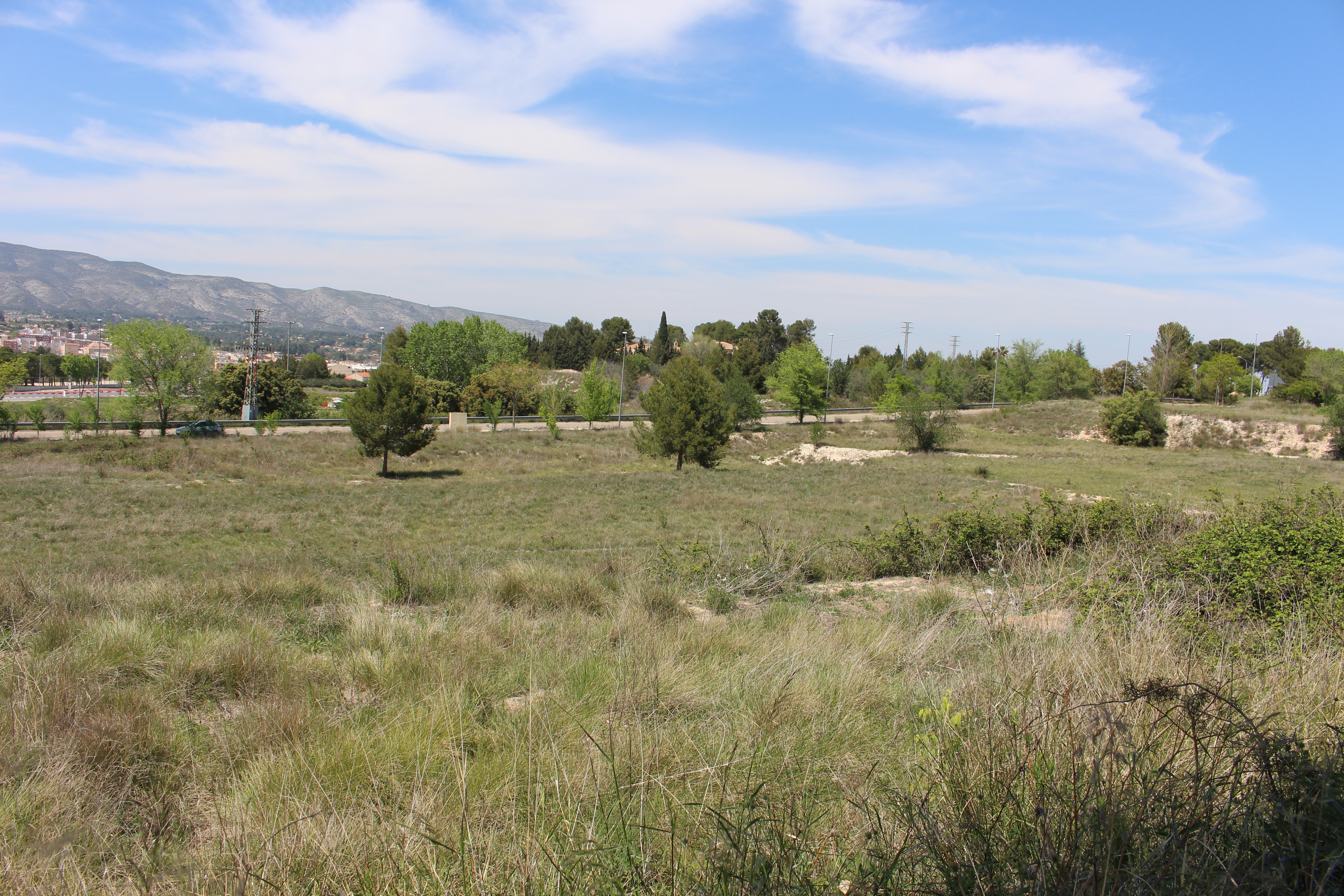 Terrenys del futur hospital