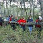 Les festes de Sant Antoni escalfen motors amb la recollida de llenya