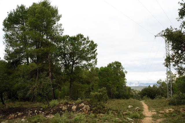 Bocairent adquireix una parcel·la de 27.500 m2 en la serra de Mariola