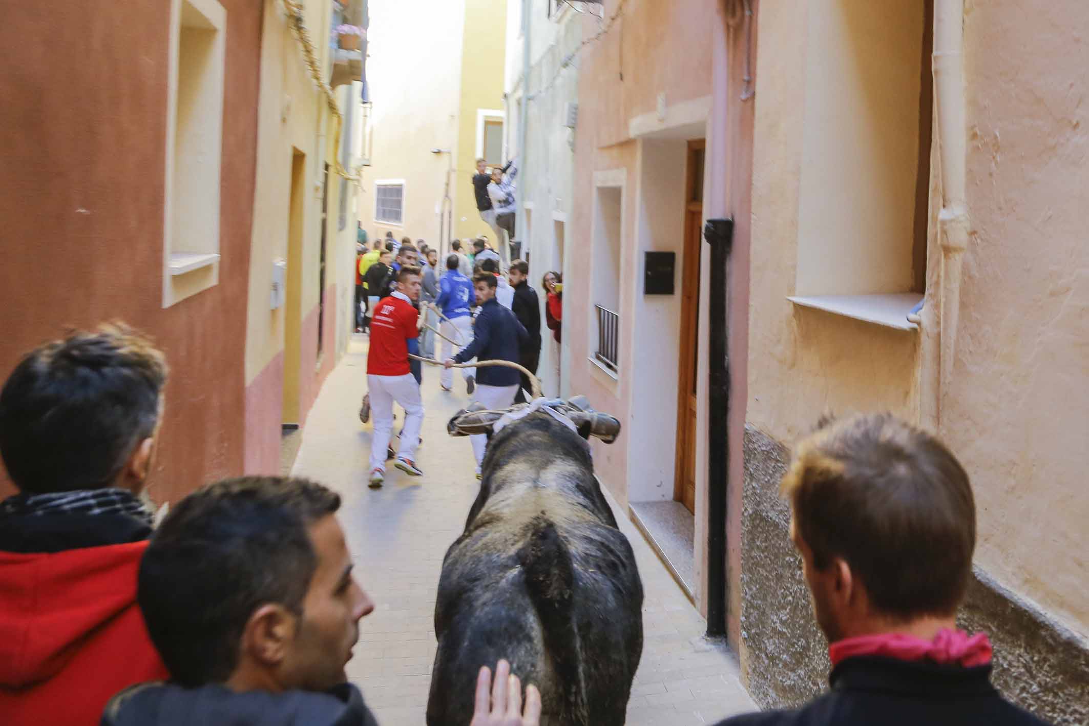 Este año no se volverán a repetir imágenes como esta. Foto: 2Clicks