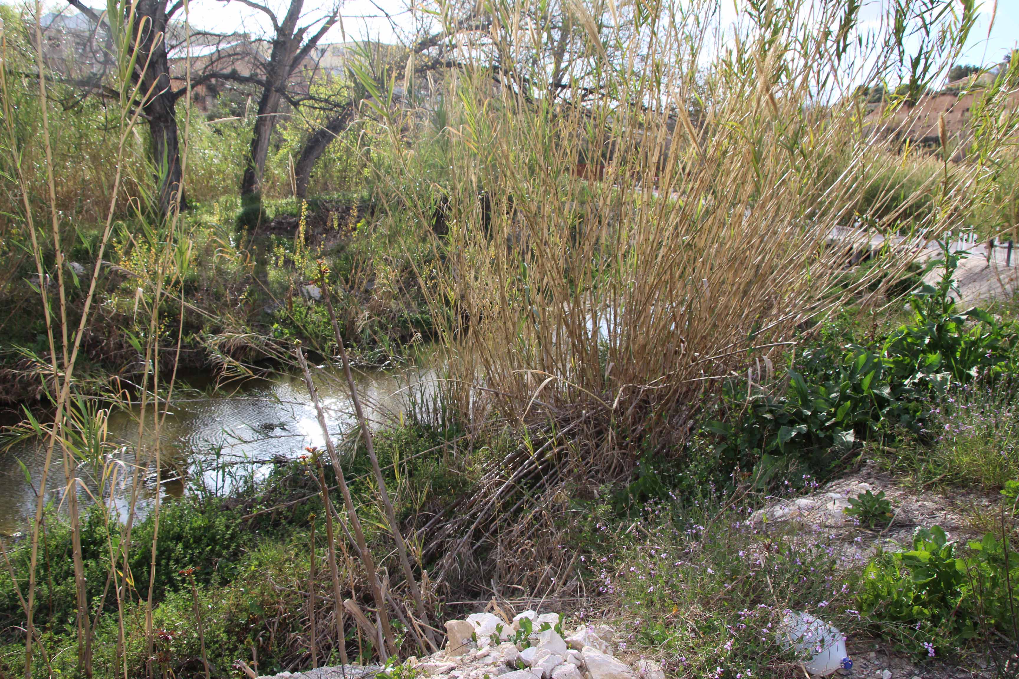 Camí Vell de Xàtiva. Foto: archivo