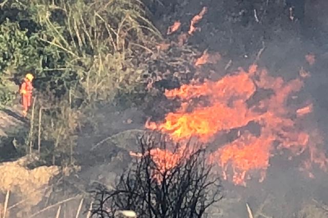 Un incendio calcina una zona de cañar en Ontinyent