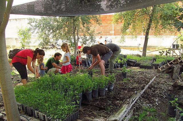 Caixa Ontinyent, implicación medioambiental