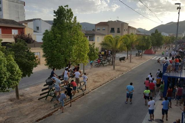 Un menor ontinyentí, herido de gravedad en los toros de Aielo