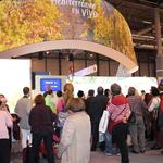 Turisme Comunitat Valenciana promocionarà a Fitur el patrimoni paleontològic