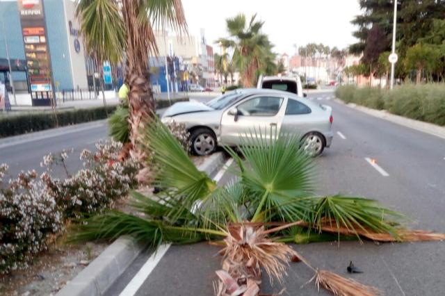 Un conductor ebrio colisiona y arranca dos palmeras en la avenida del Textil