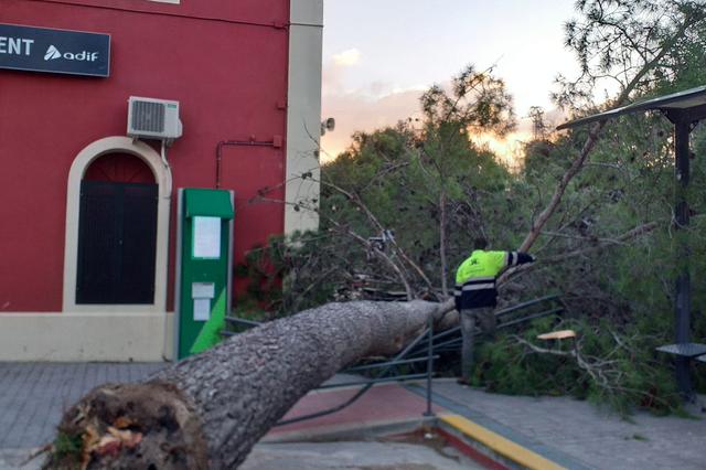 Importantes desperfectos por el viento en Ontinyent