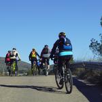 “Roda la Vall d’Albaida”, entre les millors rutes de cicloturisme d’Espanya