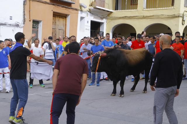 Agenda del 31 de maig al 2 de juny