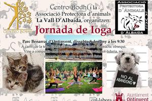 Cartel de la actividad