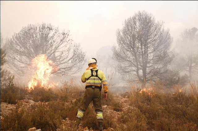 Un incendi crema la serra entre Beneixama i Fontanars