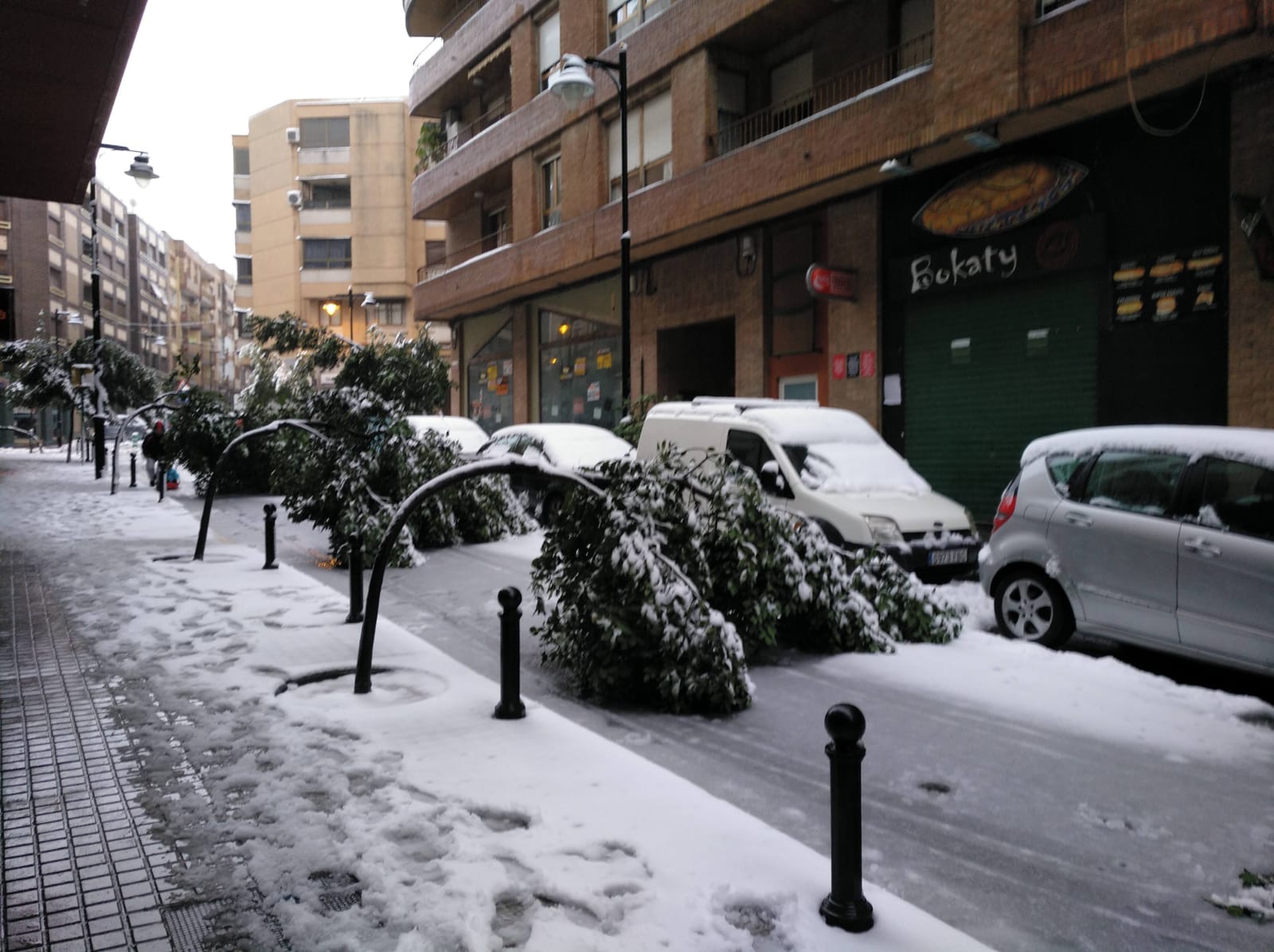 Árboles afectados por la nieve en Ontinyent