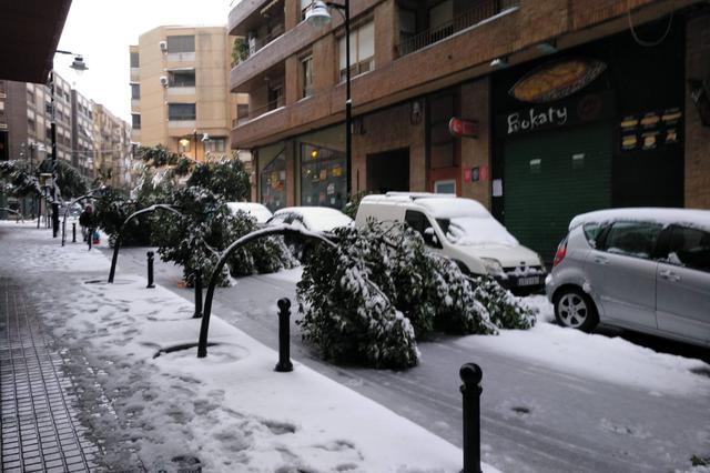Ontinyent refuerza el personal para retirar los árboles dañados por la nieve