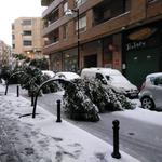 Ontinyent refuerza el personal para retirar los árboles dañados por la nieve