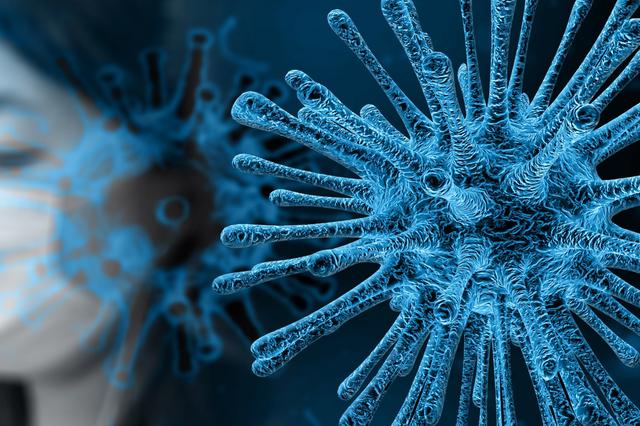El virus s'estén: brots a Ontinyent, L'Olleria i Pobla del Duc