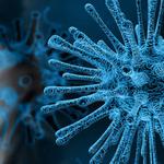 El virus s'estén: brots a Ontinyent, L'Olleria i Pobla del Duc
