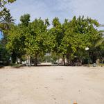 Nous jocs infantils i més vegetació per al parc de La Glorieta 