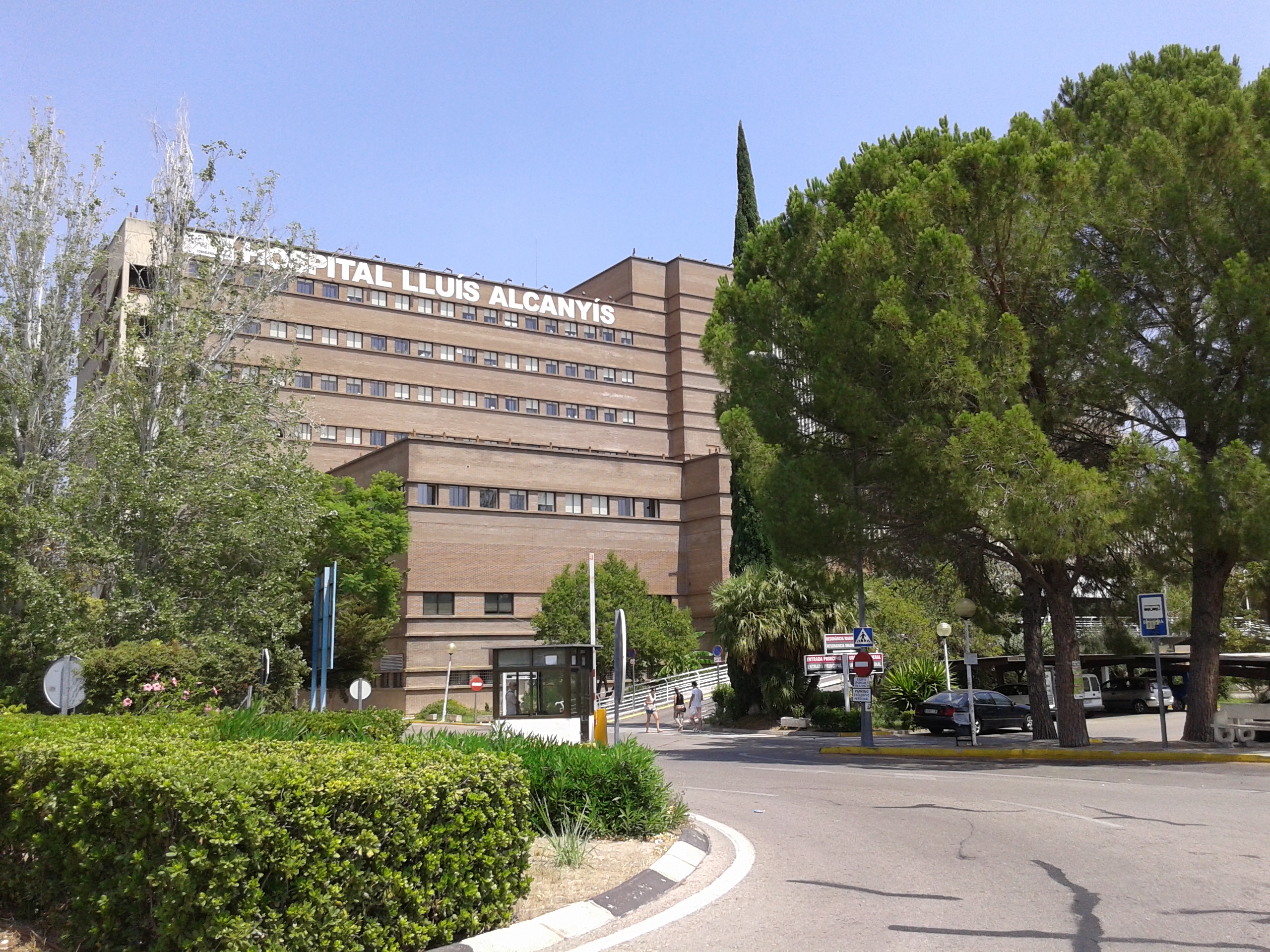 Hospital Lluís Alcanyís. Foto: gva.es