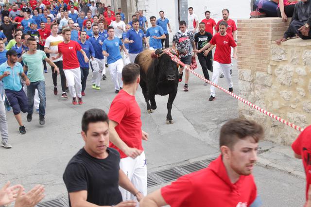 El Bou de les penyes d'Ontinyent, suspés pel coronavirus