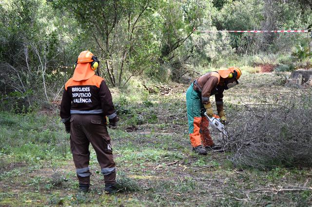 Les brigades forestals de la Diputació reprenen els seus treballs 