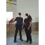 La Guardia Civil rescata a un guacamayo valorado en 2.000€