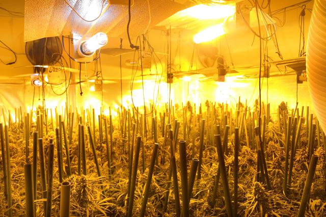 La operación contra el tráfico de drogas y blanqueo de capitales con extensión en Ontinyent