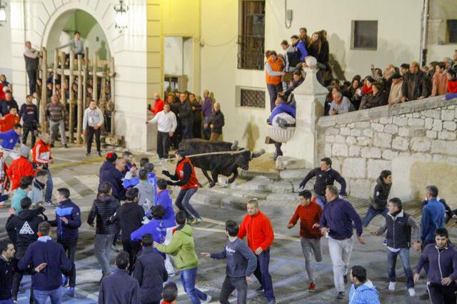 Puríssima sense actes massius i amb focs artificialsen  la vespra