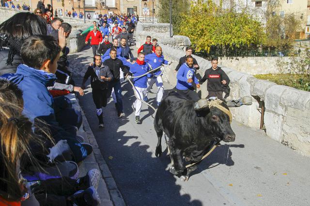 Ontinyent tindrà bou els dies 4 i 5 però sense embolà
