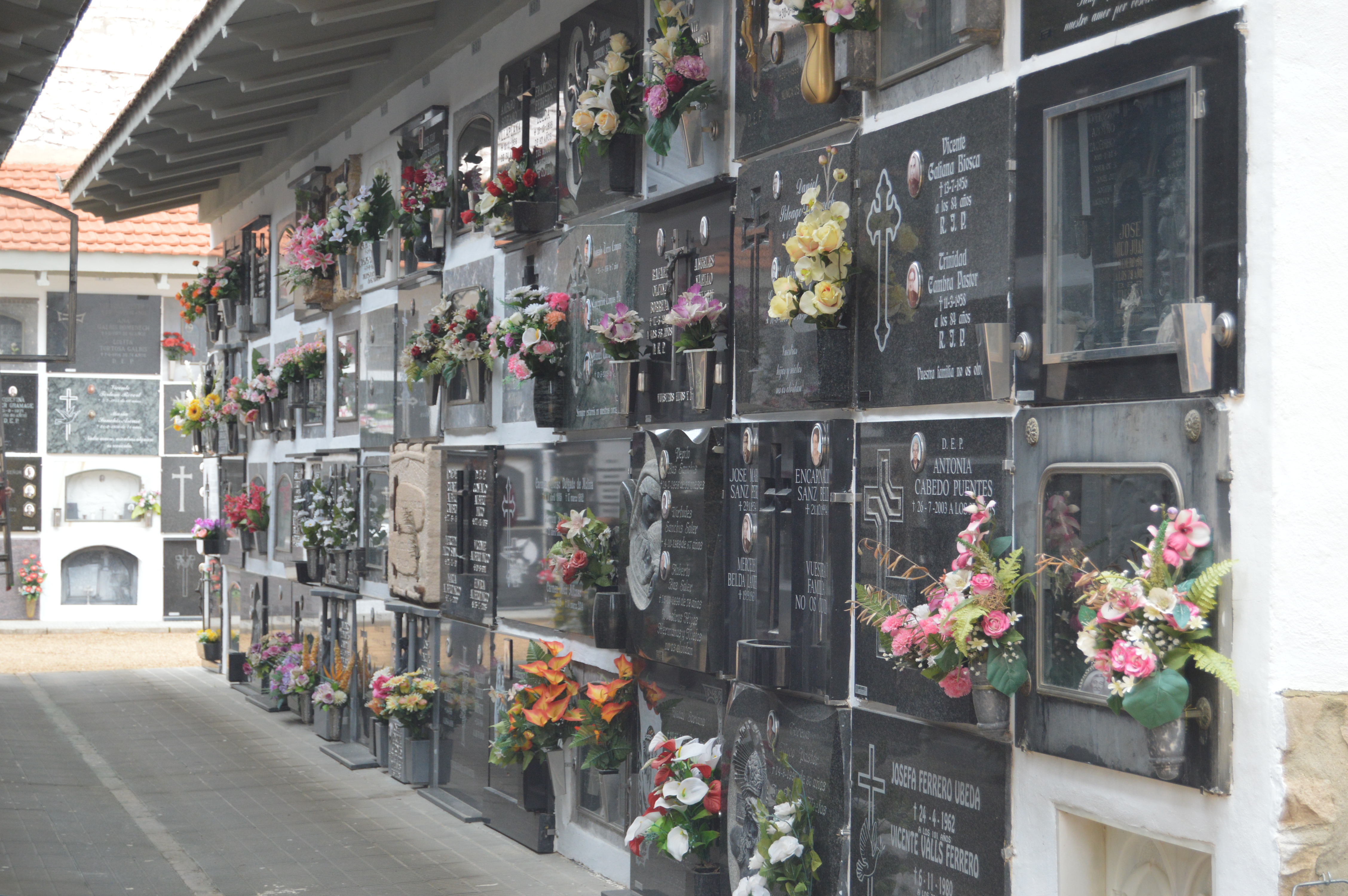 Cementerio de Ontinyent