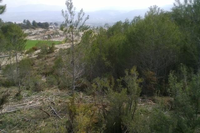 "Ontinyent participa" ya tiene propuestas ganadoras