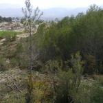 "Ontinyent participa" ja té propostes guanyadores 