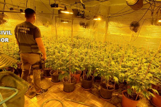 Detenidos por tráfico de drogas 