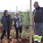 Ontinyent inicia la plantación de 400 árboles y arbustos en el Torrater 