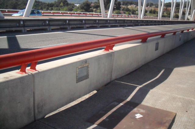 Una extraña pareja por el Salt del bou