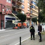 Alumbrado destina 8.000 € a pintar las columnas y farolas de Ramón y Cajal