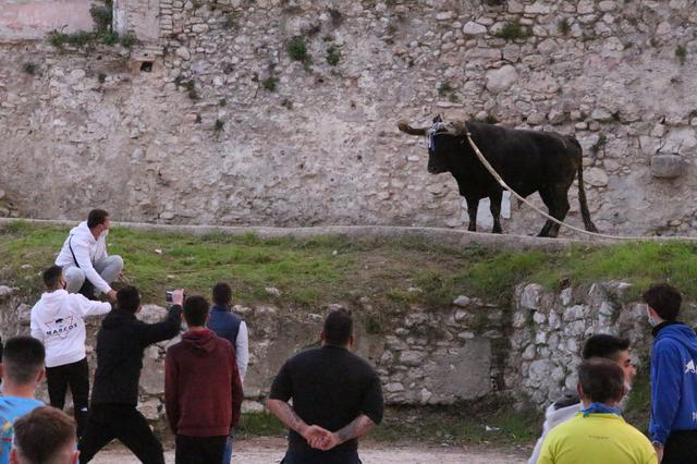 Ontinyent viu el primer dia de "bou"