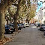 Trenquen els retrovisor de 12 cotxes