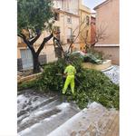Ontinyent sanciona a la adjudicataria de los espacios verdes por incumplimientos del contrato