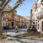 Ontinyent protege el arbolado monumental de la calle Sant Antoni