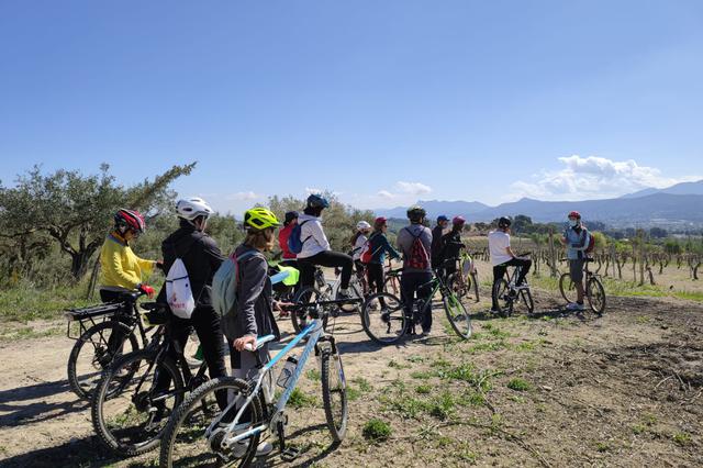 Programen  32 visites guiades “per descobrir Ontinyent tot l’any"